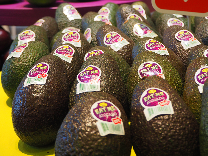 Nature’s Pride brings Apeel avocados to Netherlands, Norway and Switzerland © Eurofresh Distribution