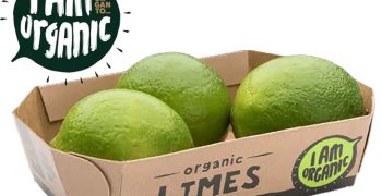 Organto ships its first organic limes from Colombia to Europe