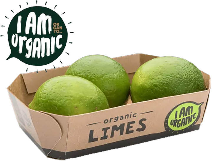 Organto ships its first organic limes from Colombia to Europe © Organto