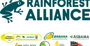 Meeting between Rainforest Alliance, retailers, importers and banana producers