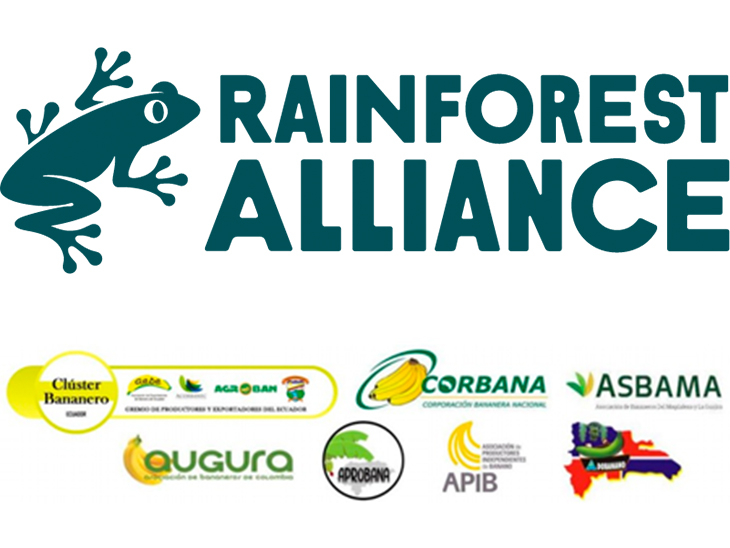 Meeting between Rainforest Alliance, retailers, importers and banana producers