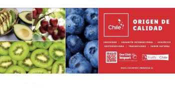 Chilean produce promoted in Mercamadrid and Mercabarna