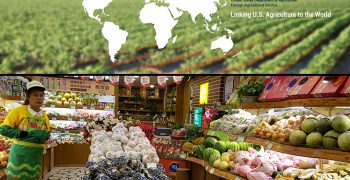 South Asia Rising: US Food and Beverage Virtual Trade Event