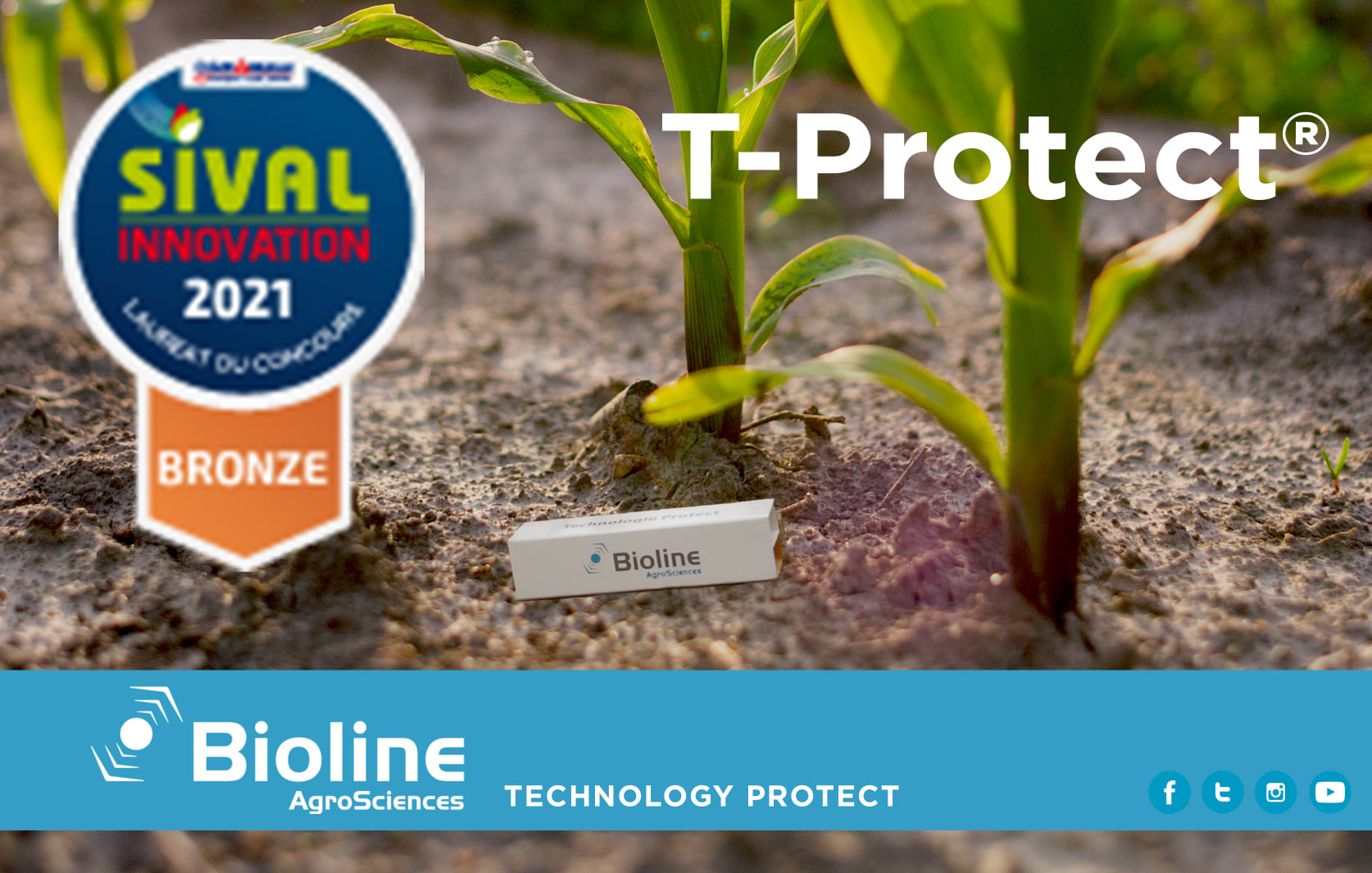 Bioline obtains bronze medal at SIVAL Innovation 2021 with T-PROTECT® © Bioline Agrosciences