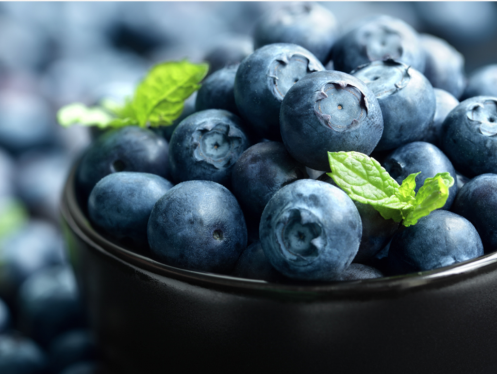 Argentine blueberry season wrapped up with stable numbers and higher sea shipments