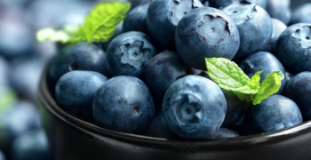Argentine blueberry season wrapped up with stable numbers and higher sea shipments