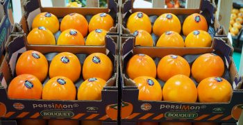 Spanish citrus and persimmon gain access to Peruvian market