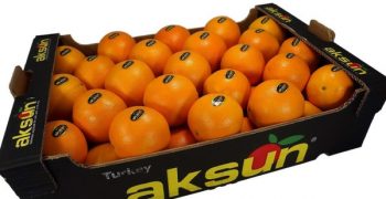 Turkey expects smaller citrus crop 