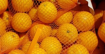 Morocco ramps up citrus production 