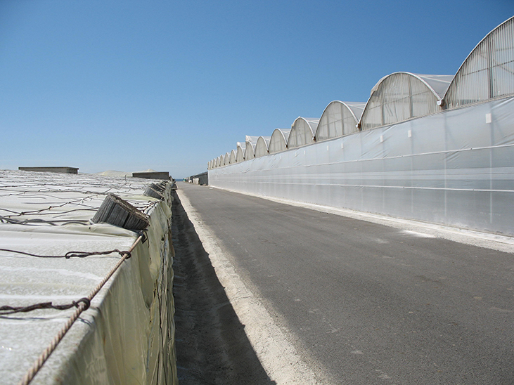 How solar greenhouses in southern Europe work © Réussir Fruits et Légumes
