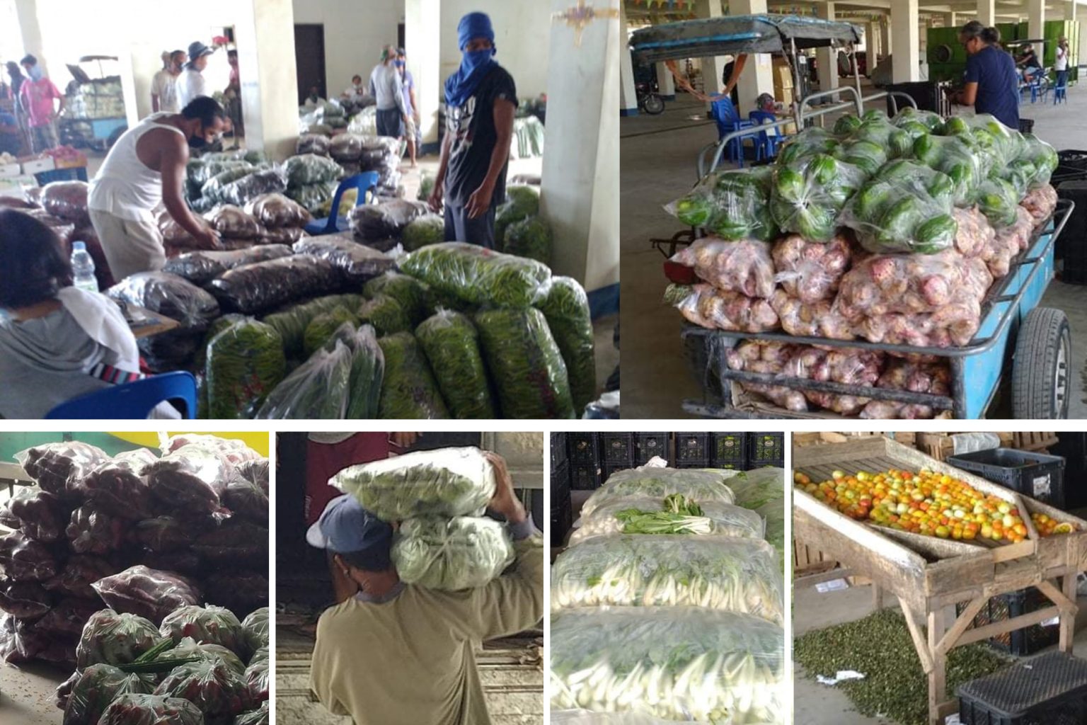 Philippines experience vegetable shortage 