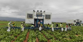 Andalusia’s agricultural sector calls for agricultural workers to be given priority vaccinations 