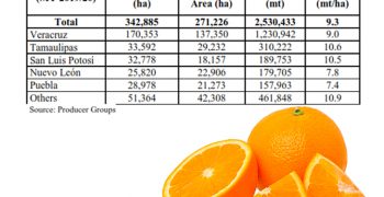 Better campaign expected for Mexican citrus