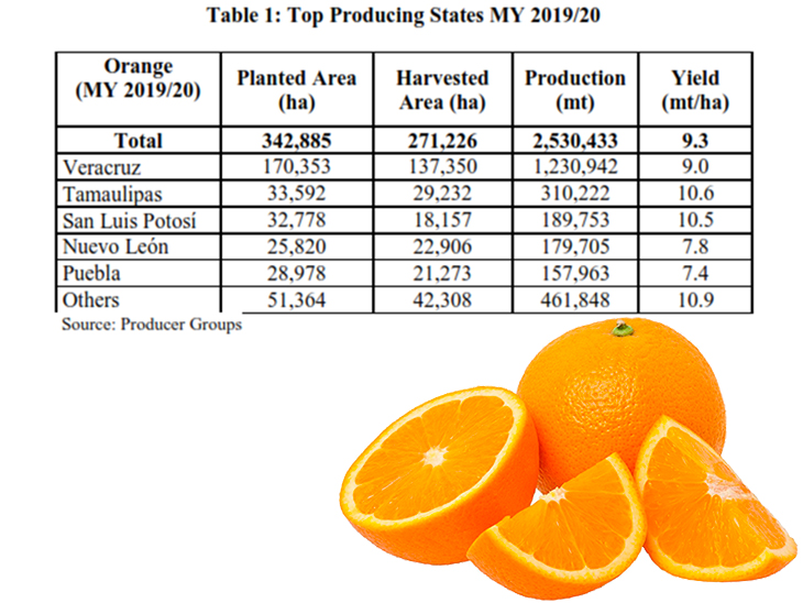 Better campaign expected for Mexican citrus