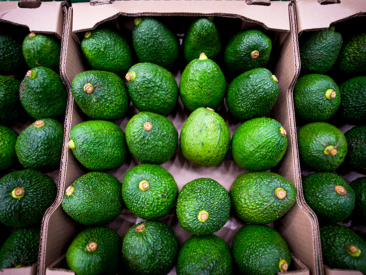 Colombia positions itself as Europe’s leading avocado supplier © PROCOLOMBIA