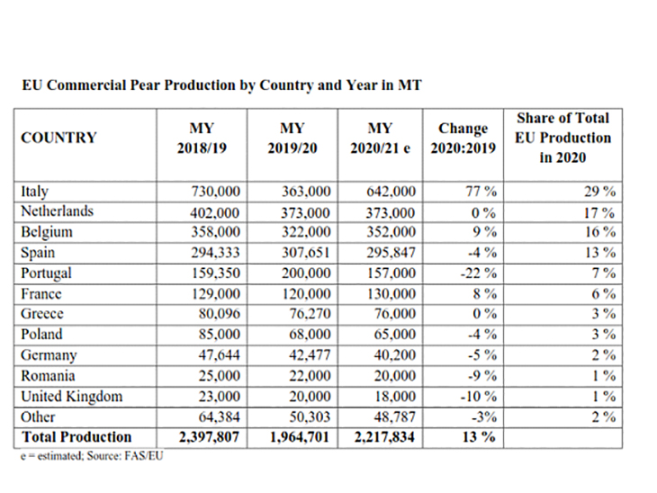 EU pear crop rebounds