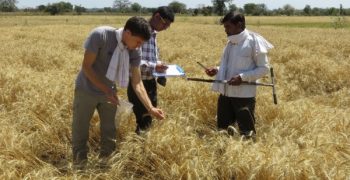 European Commission presents results of study on organic agriculture in developing countries