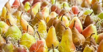 India’s pear imports to surge by 29% in 2021