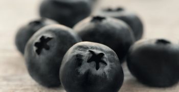 US trade commission finds that blueberry imports do not threaten domestic industry