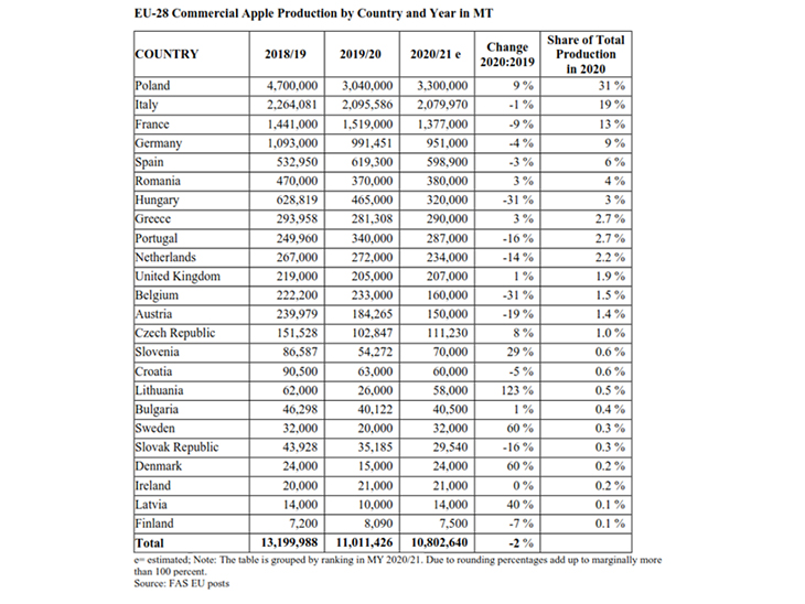 Slight drop in European apple harvest 