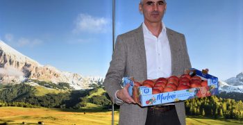 More than 100 millon Marlene® apples make their debut with the new image