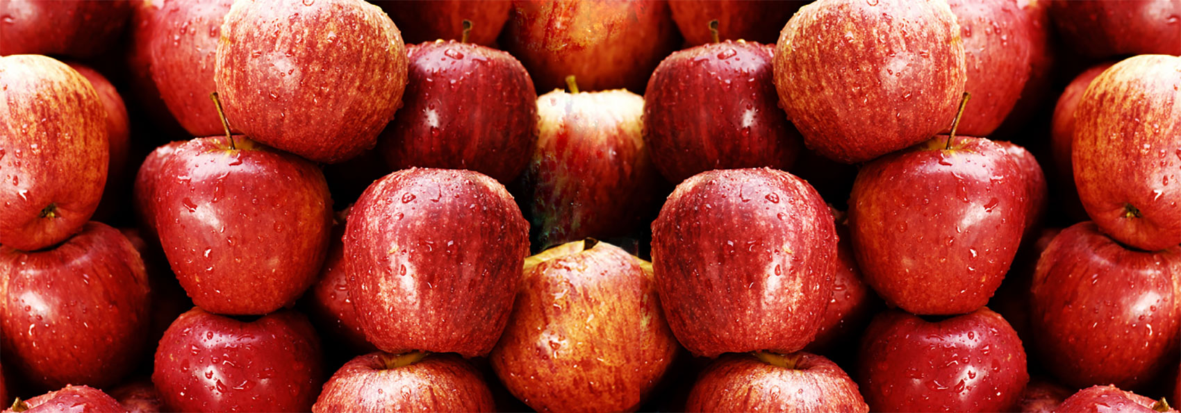 Chilean organic apple exports grow