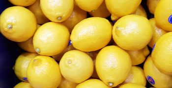 Southern African citrus to reach new heights as 2021 export estimate is released