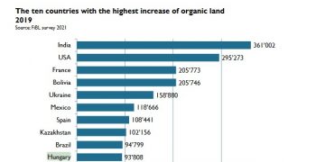 New players in organic agriculture