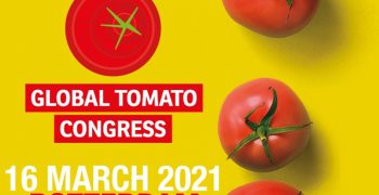 Global Tomato Congress to offer visions of future