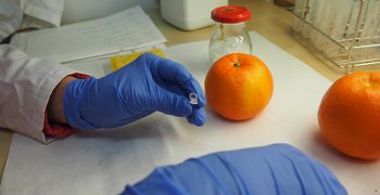 Gocitrus webinar reveals potential of markers for varietal identification of citrus