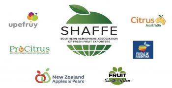 Southern Hemisphere Fruit Trade Congress highlighted key priorities of SHAFFE in 2021