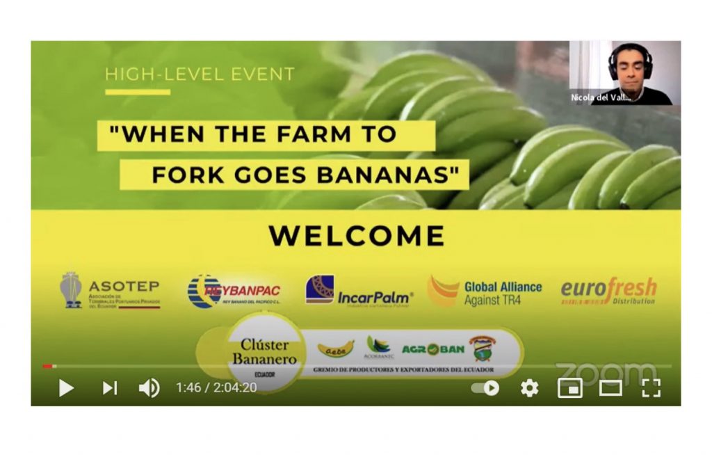 Banana Day in Europe - “When the Farm to Fork goes bananas”