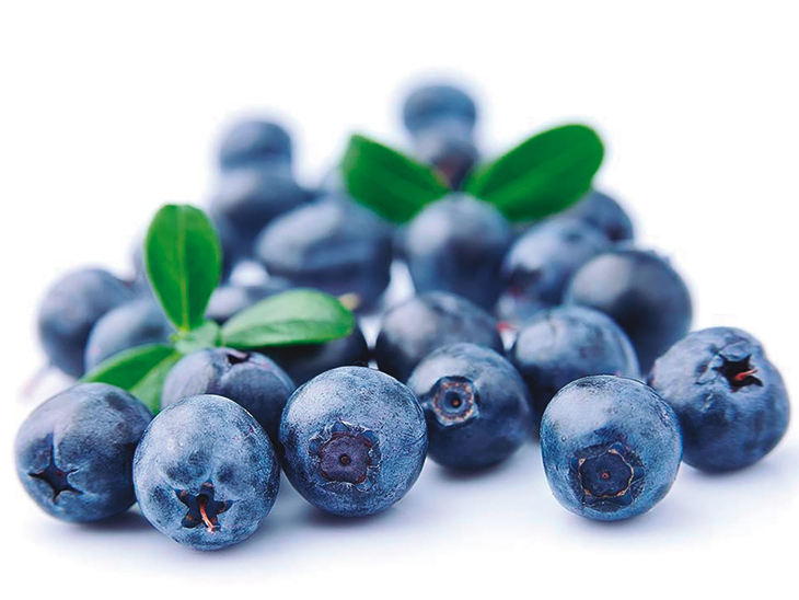 Impressive growth of Peru’s organic blueberries © PROARANDANOS