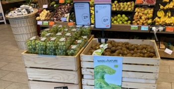 Made in Nature: Brio’s organic green kiwi starred in Germany