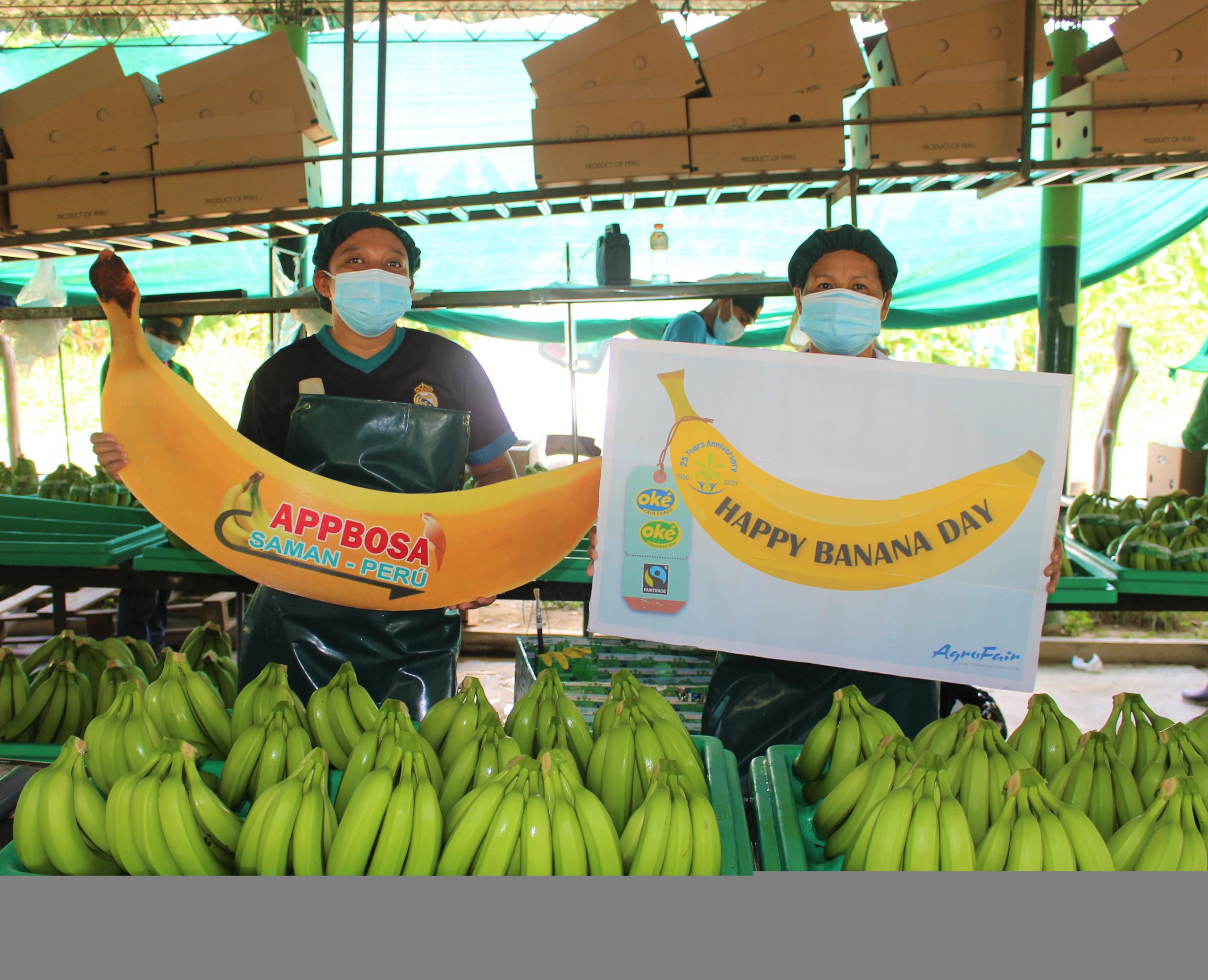 World Banana Day: celebrating the second most consumed fruit in the world!