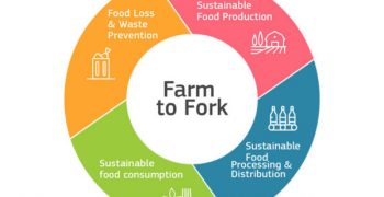 UNICA to form part of 30 EU experts to define legislative framework of sustainable food system