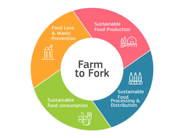 UNICA to form part of 30 EU experts to define legislative framework of sustainable food system