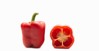 Galiano, the Top Seeds International pepper beats the spanish cold