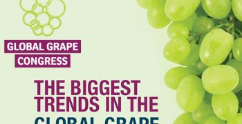 New meeting point for global grape sector