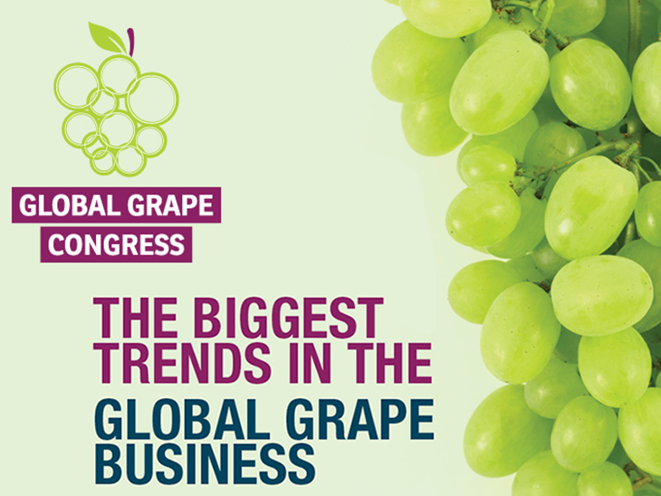 New meeting point for global grape sector