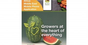 Syngenta Vegetables launches a new product mobile app in the Africa and Middle East territory