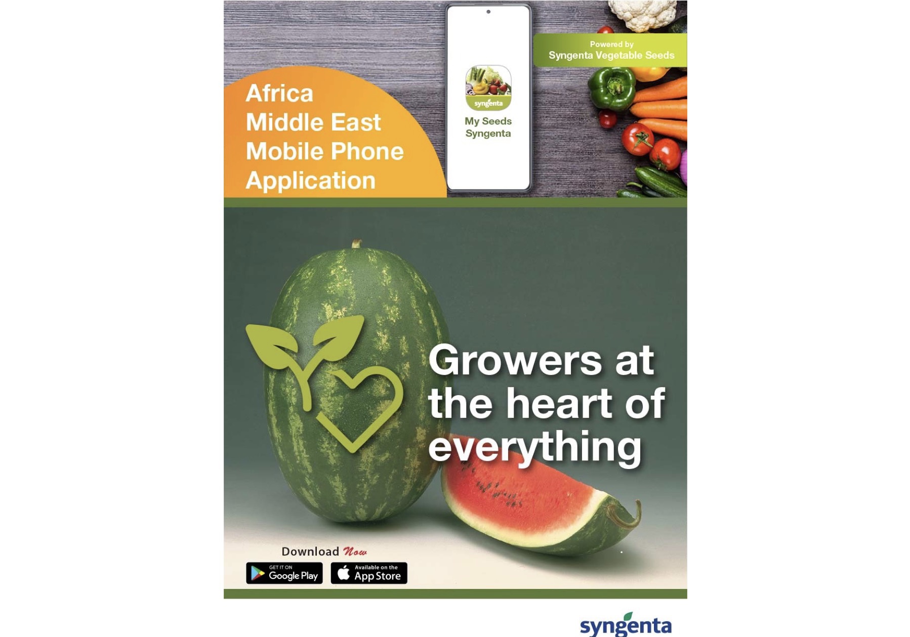 Syngenta Vegetables launches a new product mobile app in the Africa and Middle East territory