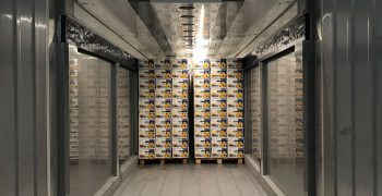 Interko Pioneers Containerised Ripening Room