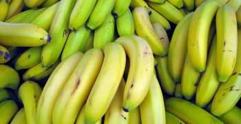 Philippines bananas being squeezed out of Chinese market