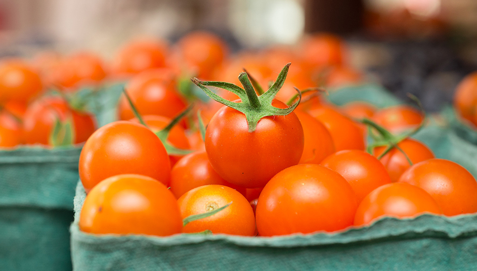 Mini symposium on tomato quality on Thursday 15 April