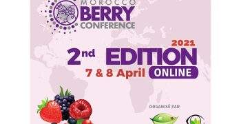 Second edition of Morocco Berry Conference attracts international audience