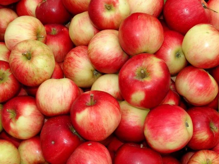 8% fall in New Zealand apple crop