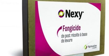 Agrauxine and DECCO Announce an exclusive distribution agreement for NEXY Bio-Fungicide
