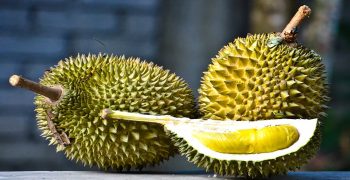 Plantations International launches organic durian