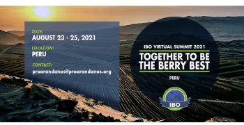 International Berry Summit unveils packed programme of events